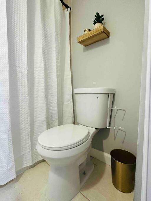 Coral Gables Miami Studio Near Airport And Beaches المظهر الخارجي الصورة